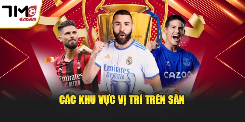 Các khu vực vị trí trên sân
