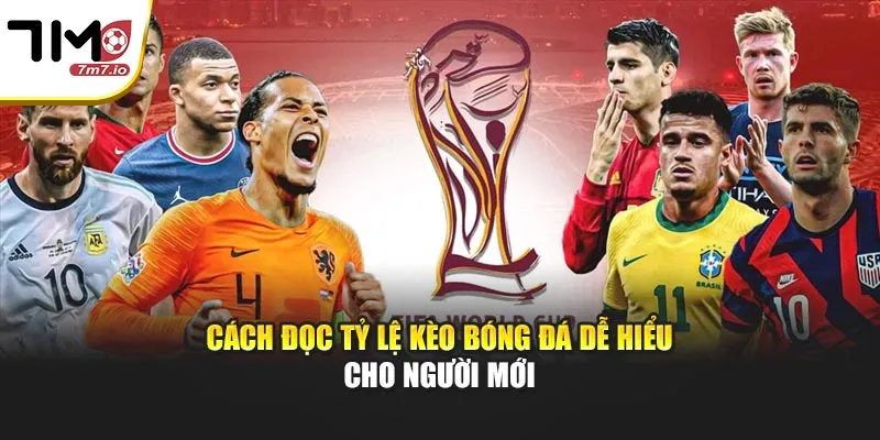 Cách Đọc Tỷ Lệ Kèo Bóng Đá Dễ Hiểu Cho Người Mới