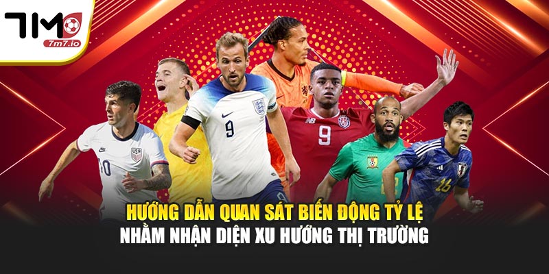 Hướng dẫn quan sát biến động tỷ lệ nhằm nhận diện xu hướng thị trường