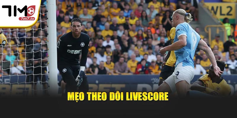 Mẹo theo dõi livescore