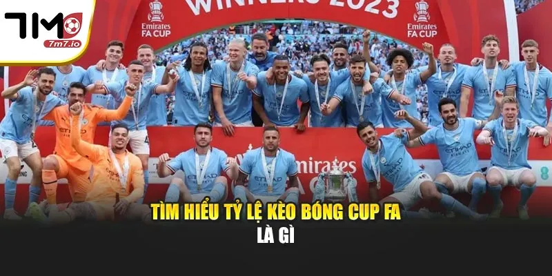 Tìm hiểu tỷ lệ kèo bóng Cup FA là gì