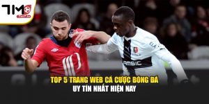 Review Top 5 Trang Web Cá Cược Bóng Đá Uy Tín Nhất Hiện Nay