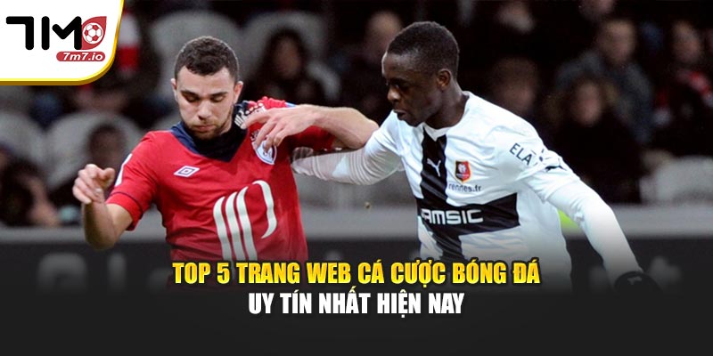 Review Top 5 Trang Web Cá Cược Bóng Đá Uy Tín Nhất Hiện Nay