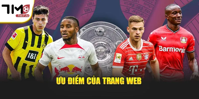 Ưu điểm của trang web